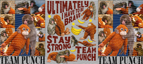 16oz Cartoon-T 2696
